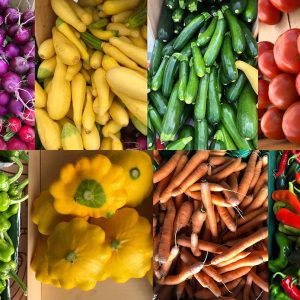 Dry Vegetables