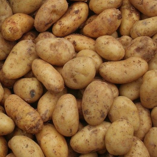 potato
